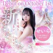 ヒメ日記 2025/09/24 20:32 投稿 せいら ジャパンクラブ富士