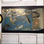 ヒメ日記 2025/11/11 18:41 投稿 カグラ ミセスClub