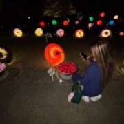 ヒメ日記 2025/11/19 15:14 投稿 YUME GINGIRA☆TOKYO～ギンギラ東京～