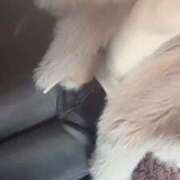 ヒメ日記 2026/02/04 05:14 投稿 YUME GINGIRA☆TOKYO～ギンギラ東京～