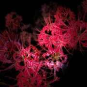 ヒメ日記 2025/10/03 19:50 投稿 まみこ 待ちナビ