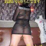 ヒメ日記 2026/02/22 15:00 投稿 まみこ 待ちナビ