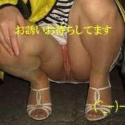 ヒメ日記 2026/04/16 09:36 投稿 まみこ 待ちナビ