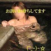 ヒメ日記 2026/04/30 07:22 投稿 まみこ 待ちナビ
