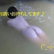 ヒメ日記 2026/06/29 08:32 投稿 まみこ 待ちナビ
