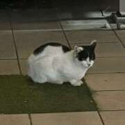 ヒメ日記 2025/11/14 15:45 投稿 はな スピードエコ難波店