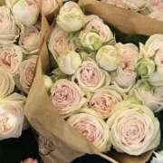 ヒメ日記 2025/09/21 17:51 投稿 えれな 愛媛松山ちゃんこ