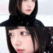 ヒメ日記 2025/11/08 19:31 投稿 しの 黒い金魚（札幌）