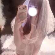 ヒメ日記 2025/11/22 16:20 投稿 しの 黒い金魚（札幌）