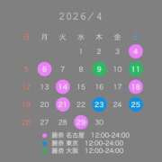 ヒメ日記 2026/04/01 16:01 投稿 月城 真波 マダム麗奈大阪