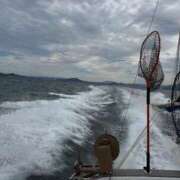 ヒメ日記 2025/11/12 10:23 投稿 実花(みか) PLUS十三店