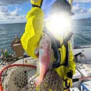 ヒメ日記 2025/11/19 19:49 投稿 実花(みか) PLUS十三店