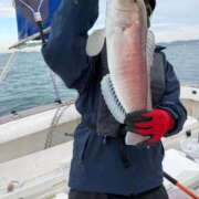 ヒメ日記 2025/12/11 17:38 投稿 実花(みか) PLUS十三店