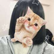 ヒメ日記 2026/03/06 22:10 投稿 ユウカ On a best（オンナベスト）