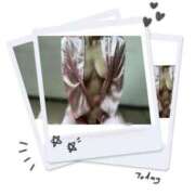 ヒメ日記 2025/10/14 06:00 投稿 くみ Second Love（セカンドラブ）