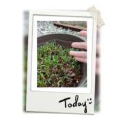 ヒメ日記 2025/11/20 13:50 投稿 くみ Second Love（セカンドラブ）