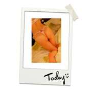 ヒメ日記 2025/12/02 07:45 投稿 くみ Second Love（セカンドラブ）