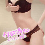 ヒメ日記 2025/09/24 08:57 投稿 いと 鎌倉御殿 新館