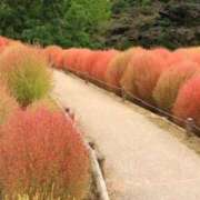 ヒメ日記 2025/10/17 09:02 投稿 えみり 出会い系人妻ネットワーク 渋谷〜目黒編