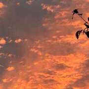 ヒメ日記 2025/11/02 17:41 投稿 えみり 出会い系人妻ネットワーク 渋谷〜目黒編