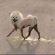 ヒメ日記 2025/10/01 20:36 投稿 みれい 熊谷人妻城