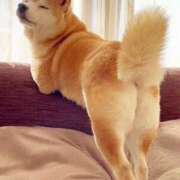 ヒメ日記 2025/10/12 12:48 投稿 みれい 熊谷人妻城