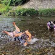 ヒメ日記 2025/10/14 10:06 投稿 みれい 熊谷人妻城