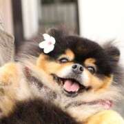 ヒメ日記 2025/10/19 08:45 投稿 みれい 熊谷人妻城