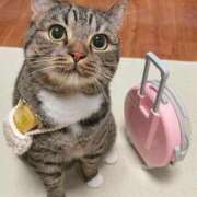 ヒメ日記 2025/10/23 11:50 投稿 みれい 熊谷人妻城