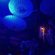 ゆら ありがとう🙏🫶🏻 新宿プチドール