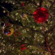 ヒメ日記 2025/12/02 08:29 投稿 いぶ ぷるるん小町日本橋店