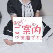 ヒメ日記 2026/01/20 14:01 投稿 ゆき 山梨甲府甲斐ちゃんこ