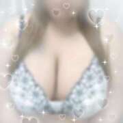 ヒメ日記 2026/01/28 14:01 投稿 ゆき 山梨甲府甲斐ちゃんこ