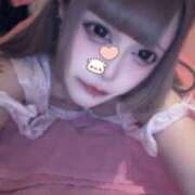 ひめか やんのかねこ‼️^._.^ アメリカンクリスタル