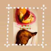 ヒメ日記 2025/12/24 19:31 投稿 さやか 池袋サンキュー