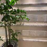 兎森あみか ありがとうございました！ お姉さんCLUB