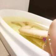 ヒメ日記 2025/11/23 20:22 投稿 あやめ One More 奥様　五反田店