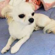 ヒメ日記 2026/03/20 16:54 投稿 恵美(めぐみ) 人妻最後の砦 小山店