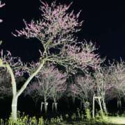 ヒメ日記 2026/04/04 10:11 投稿 恵美(めぐみ) 人妻最後の砦 小山店