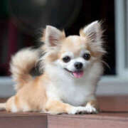 ヒメ日記 2026/04/08 21:48 投稿 恵美(めぐみ) 人妻最後の砦 小山店