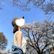 ヒメ日記 2026/04/18 16:44 投稿 みりあ 舐めていいとも！柏店