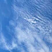 ヒメ日記 2025/10/20 10:32 投稿 稲森りつ 五十路マダム 博多店