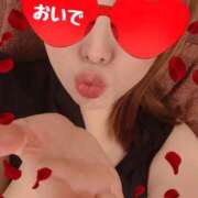 ヒメ日記 2025/10/01 08:41 投稿 くるみ(極上SPコース対応) LIGHT（ライト）～光が導く無限の可能性～