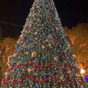 ヒメ日記 2025/12/25 17:49 投稿 愛菜花（まなか） ROYAL FACE FUKUOKA