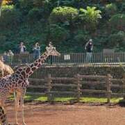 ヒメ日記 2025/11/04 17:01 投稿 れな Delyz（デリーズ）