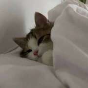 ヒメ日記 2025/10/17 11:24 投稿 ねいろ【初々しさ満点◎】 STELLA TOKYO－ステラトウキョウ－