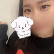 ヒメ日記 2025/11/17 12:30 投稿 久保 あゆな メルビス＆アトリアーナ