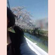 ヒメ日記 2026/03/31 10:00 投稿 小坂 明子 熟女・人妻マダム宮殿