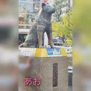 ヒメ日記 2025/09/27 18:48 投稿 あお 静岡駅前ちゃんこ