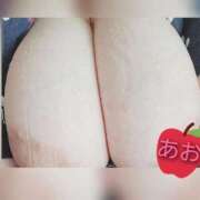 ヒメ日記 2025/10/14 00:58 投稿 あお 静岡駅前ちゃんこ